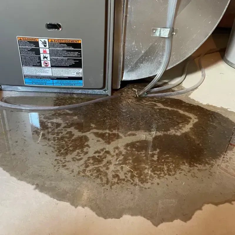 Appliance Leak Cleanup in Huntington Bay, NY